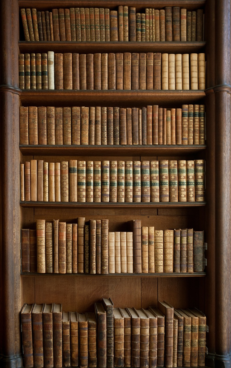 books, bookcase, old books-378903.jpg